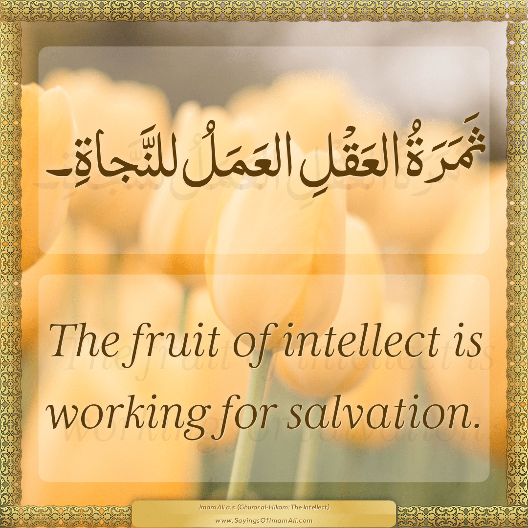 The fruit of intellect is working for salvation.
